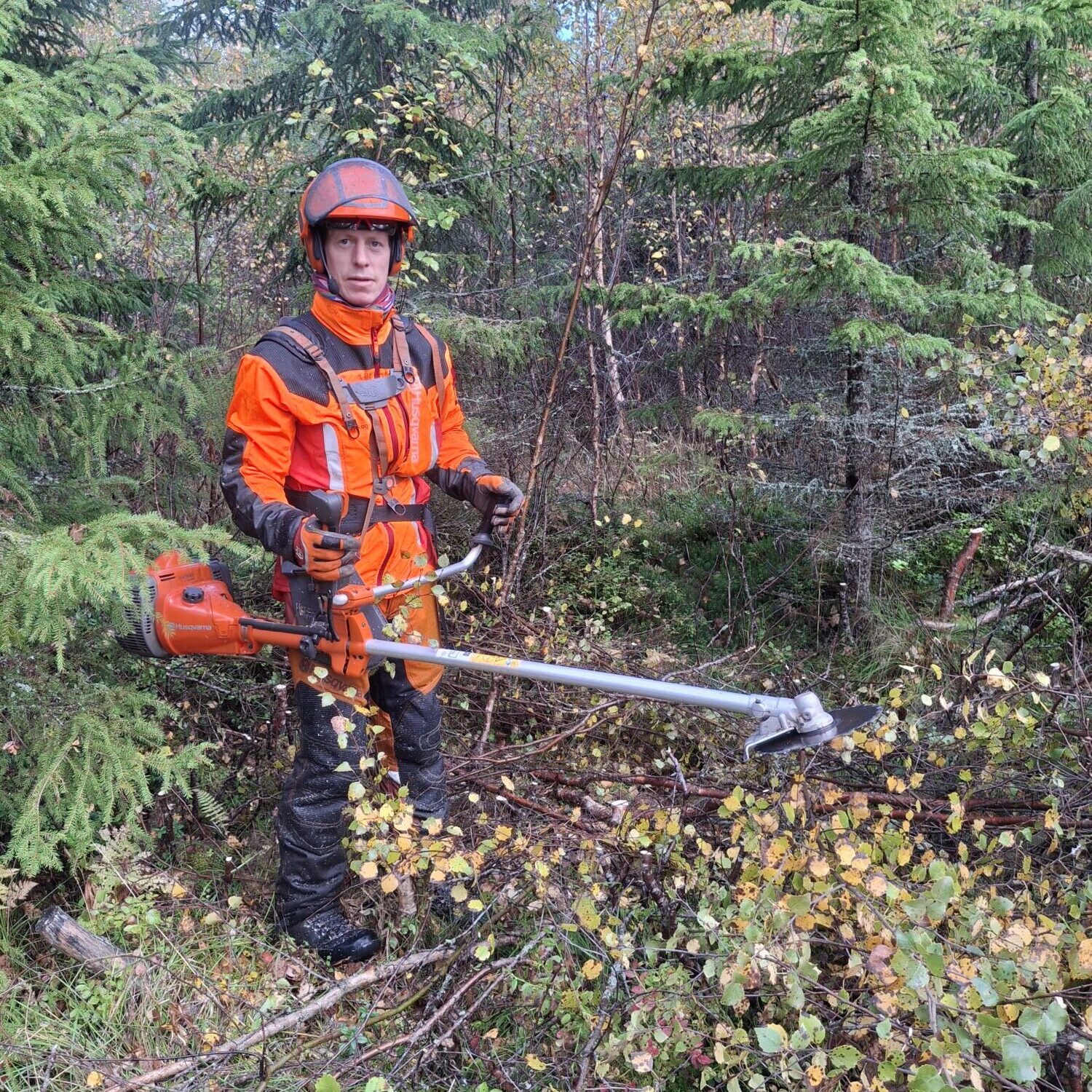 Fremtidsskog_20240927_103608